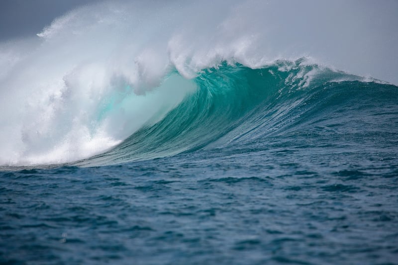 Ocean Adventure